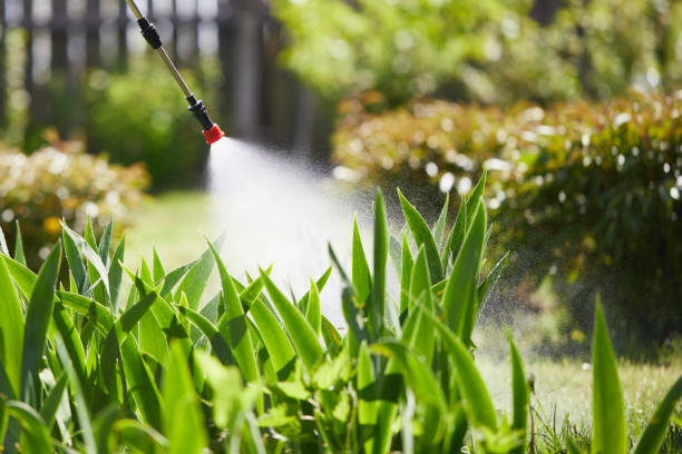 24/7 Emergency Cockroach Control experts in Inverness, CA